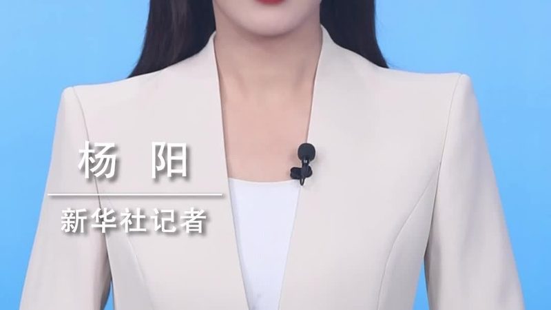 Python数据可视化的技术选型与性能考量